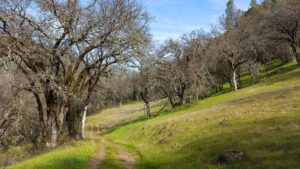 Land on the Big Chico Creek Ecological Reserve, land related to the Mechoopda tribe land return